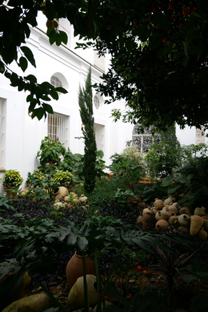 España, Spain, Sevilla, Jesuit, San Luis de los Franceses, Baroque, patio