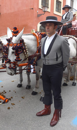 España, Spain, Andalucía, Sevilla, horse, caballo, Exhibición de Enganches