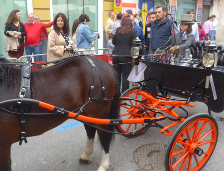 España, Spain, Andalucía, Sevilla, horse, caballo, Exhibición de Enganches