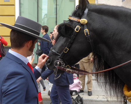 España, Spain, Andalucía, Sevilla, horse, caballo, Exhibición de Enganches