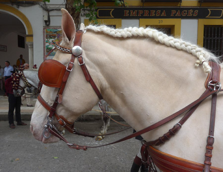 España, Spain, Andalucía, Sevilla, horse, caballo, Exhibición de Enganches