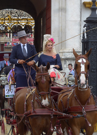 España, Spain, Andalucía, Sevilla, horse, caballo, Exhibición de Enganches