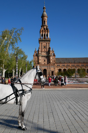 España, Spain, Andalucía, Sevilla, Plaza de España, horse, caballo, Exhibición de Enganches