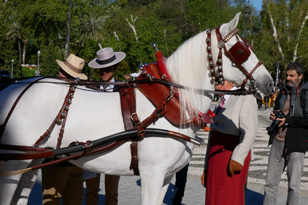 España, Spain, Andalucía, Sevilla, Plaza de España, horse, caballo, Exhibición de Enganches