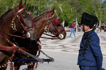 España, Spain, Andalucía, Sevilla, Plaza de España, horse, caballo, Exhibición de Enganches