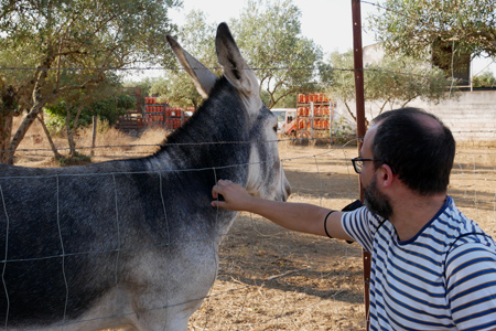 Spain, España, El Pedroso, train, hiking, Mirador de Alonso, donkey