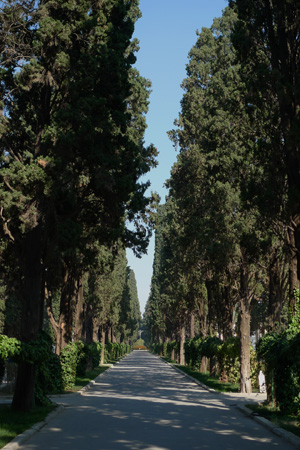 España, Spain, Andalucía, Sevilla, cemetery, cementerio, San Fernando