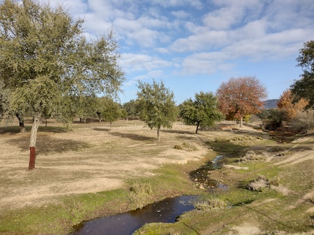 España, Spain, Andalucía, El Pedroso, Arroyo de las Cañas, trail, sendero