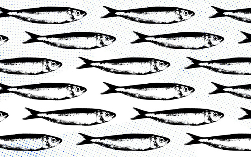 silvadesigners, sardinhas, EGEAC, sardines, art contest