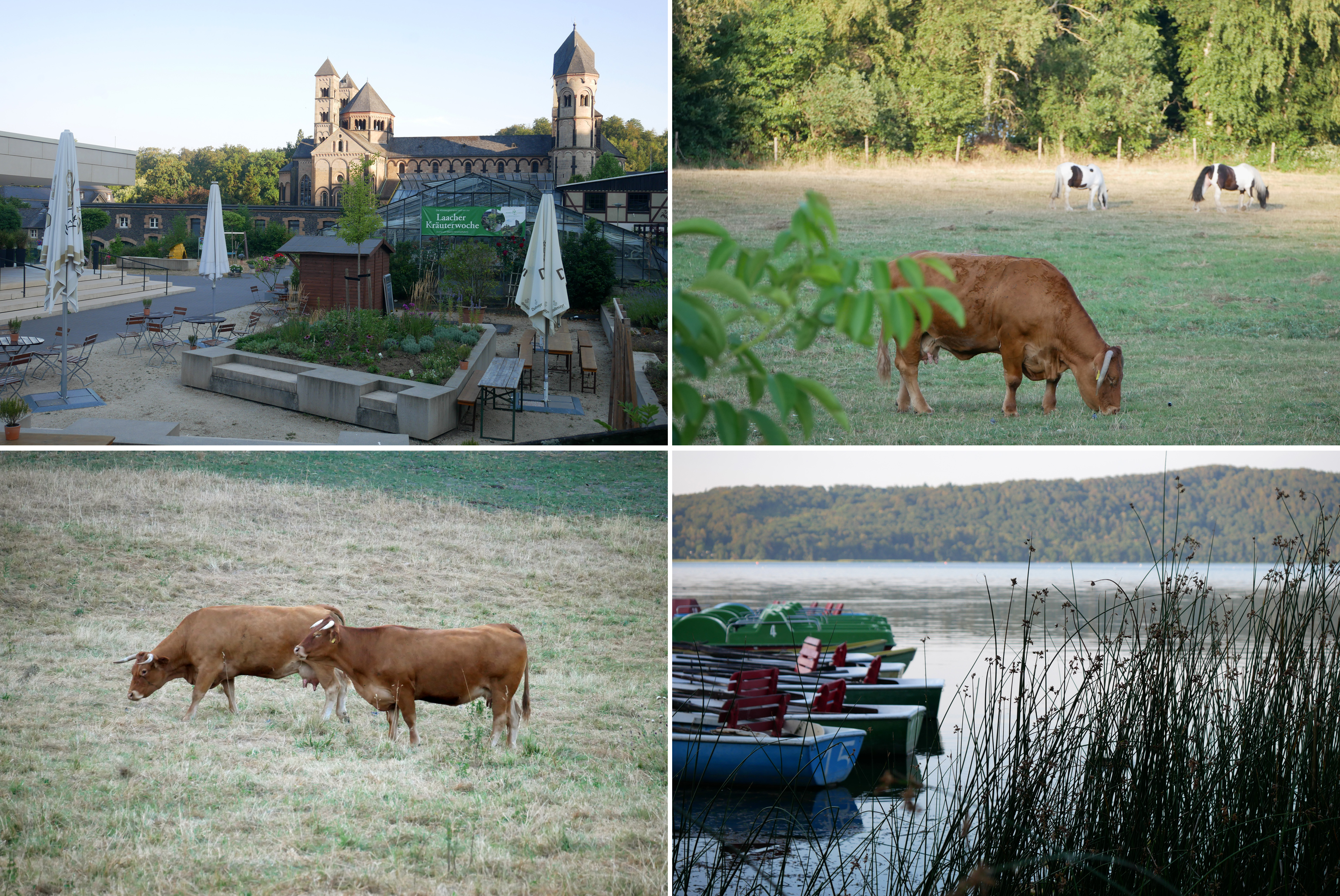 Germany, hiking, Laacher See, Operación Río Rin, Traumpfad Pellezner, Maria Laach